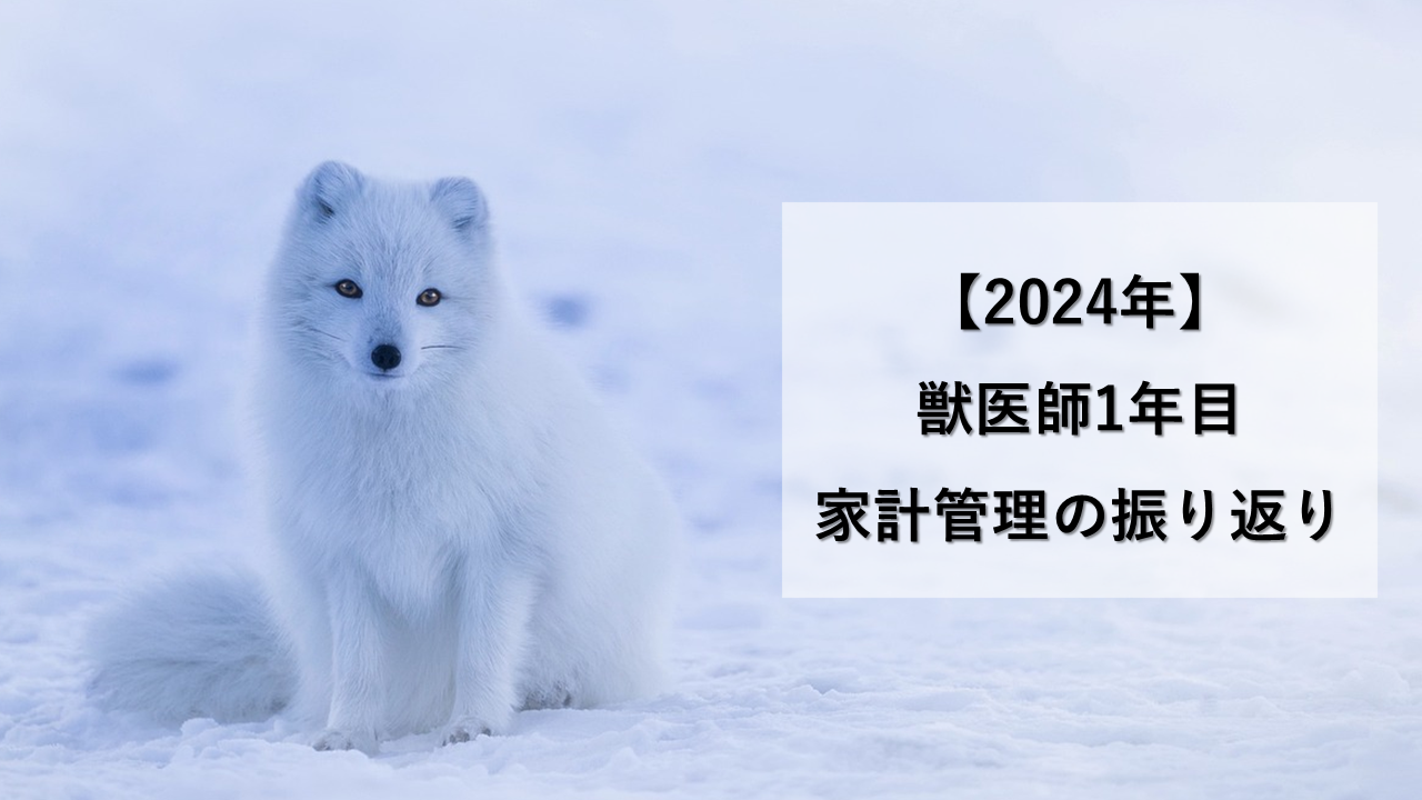 【2024年】家計管理の振り返り【獣医師1年目】